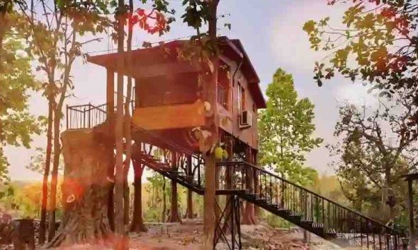 Social Update Bengali News Image