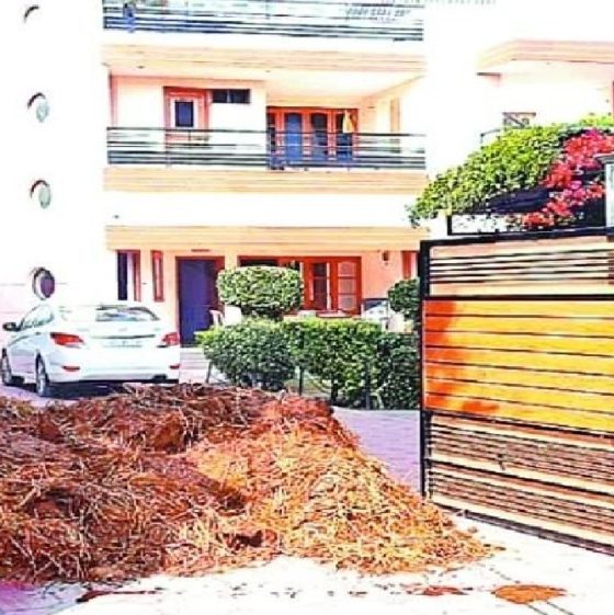 Social Update Bengali News Image