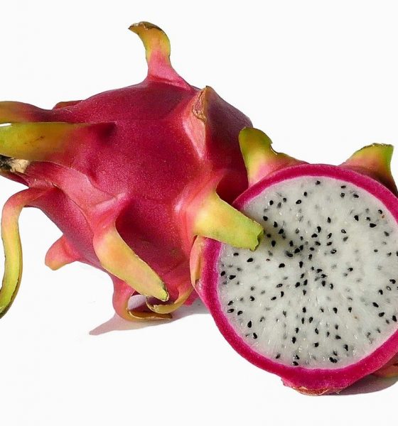 Social Update Bengali News Image